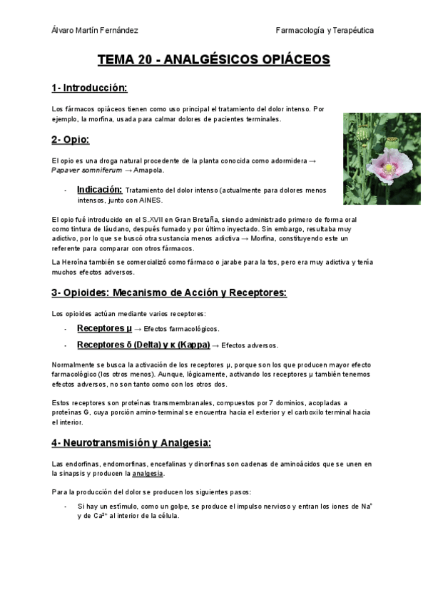 Miniatura del documento TEMA-20-ANALGESICOS-OPIACEOS.pdf