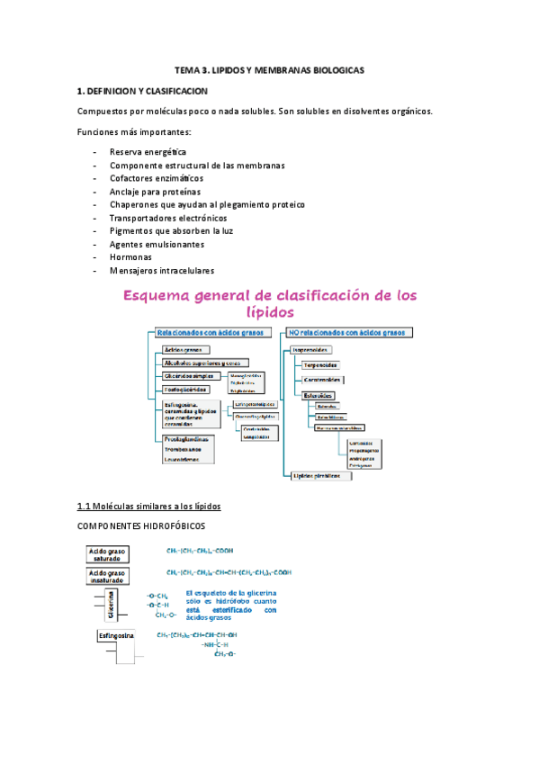 Miniatura del documento TEMA-3-BQ.pdf