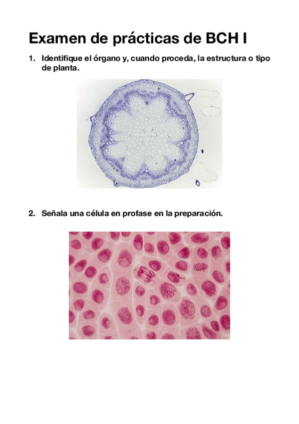 Miniatura del documento Examen-de-practicas-de-BCH-I.pdf
