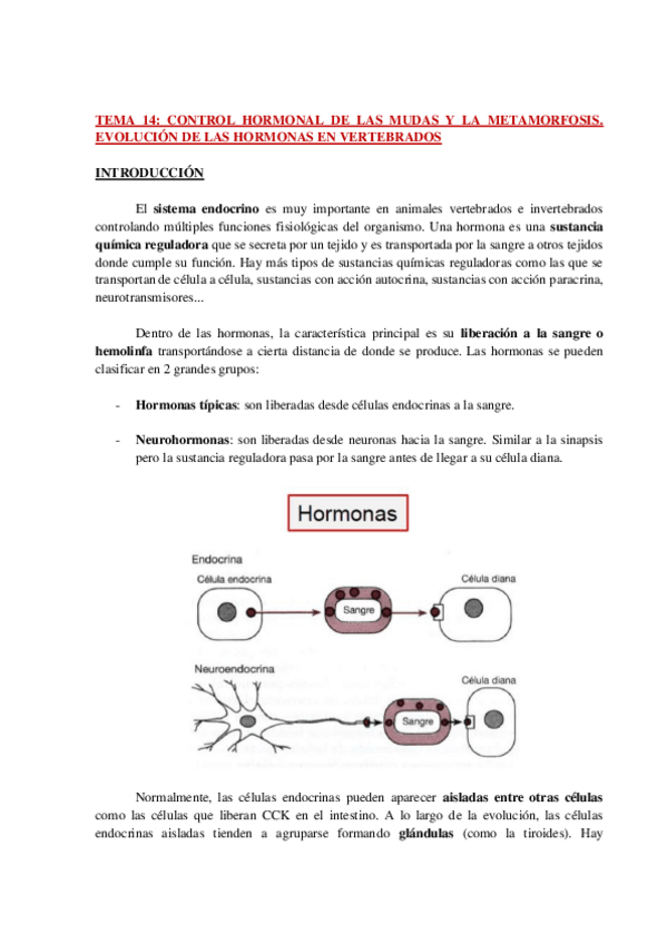 Miniatura del documento AP-FISIO-ANIMAL-COMPARADA-TEMA-14-WH.pdf