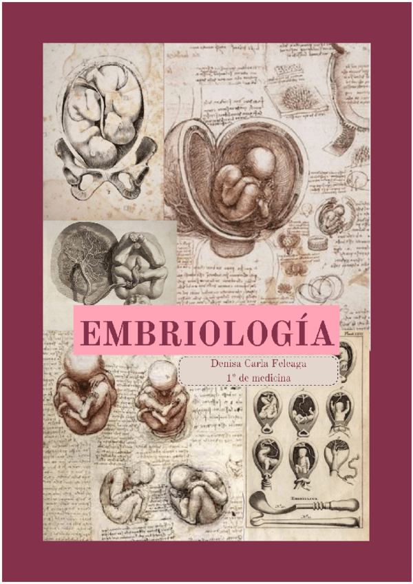 Miniatura del documento TODO-EMBRIOLOGIA.pdf