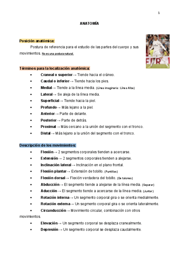 Miniatura del documento Apuntes-del-primer-parcial-anatomia.pdf