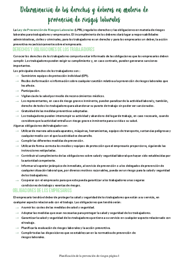 Miniatura del documento Planificacion-de-la-prevencion-de-riesgos.pdf