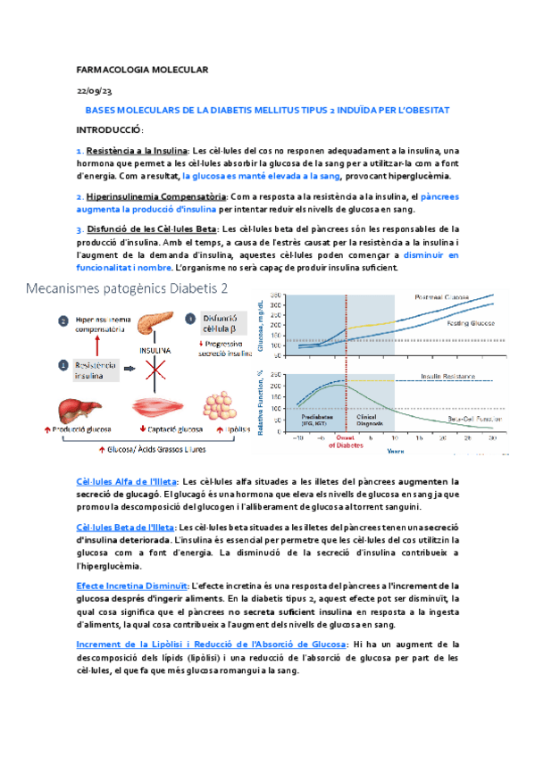 Miniatura del documento 2-BASES-MOLECULARS-DE-LA-DIABETIS-MELLITUS-TIPUS-2-INDUIDA-PER-LOBESITAT.pdf