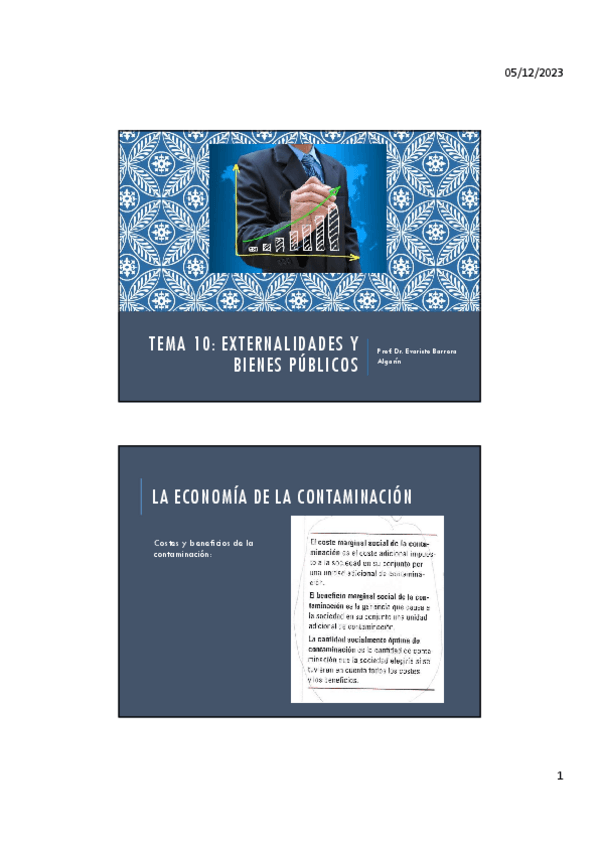 Miniatura del documento tema-10.pdf