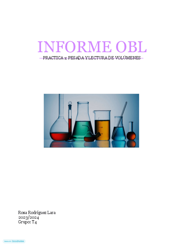 Miniatura del documento informesOBL-5.pdf