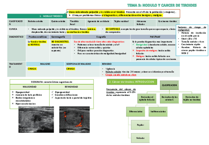 Miniatura del documento TEMA 3 ENDOCRINO.pdf