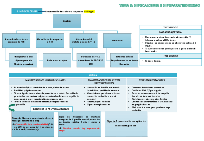 Miniatura del documento TEMA 5 ENDOCRINO.pdf