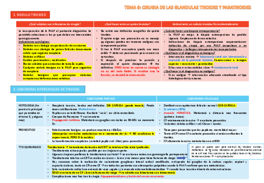 Miniatura del documento TEMA 6 ENDOCRINO.pdf