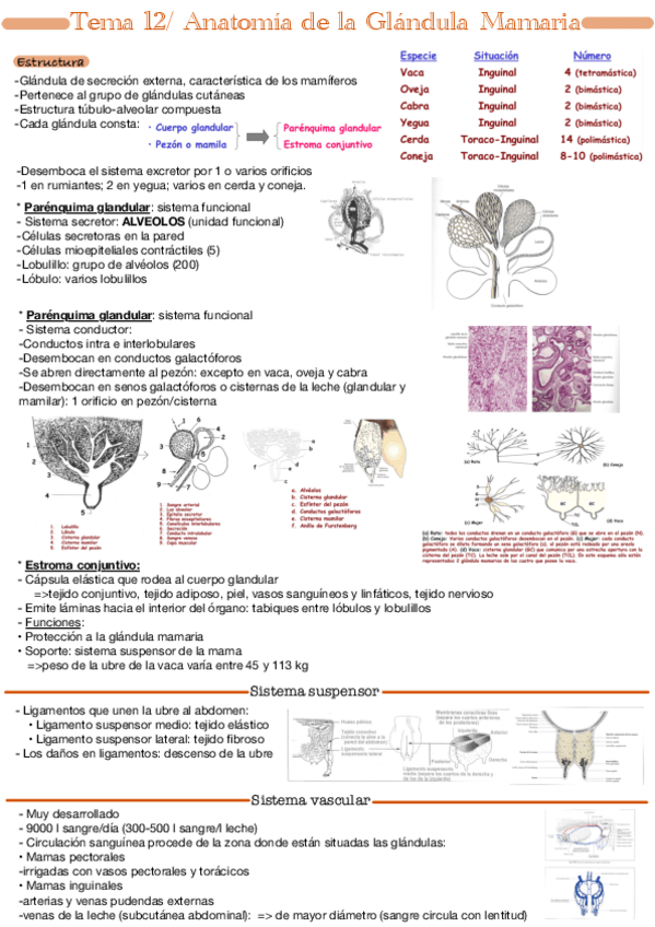 Miniatura del documento Tema-12.pdf