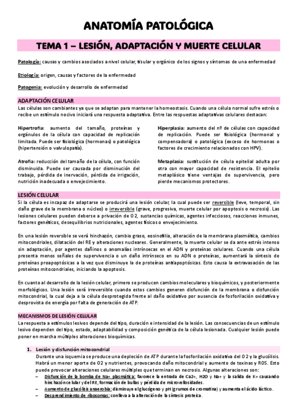 Miniatura del documento ANATOMIA-PATOLOGICA-APUNTES.pdf