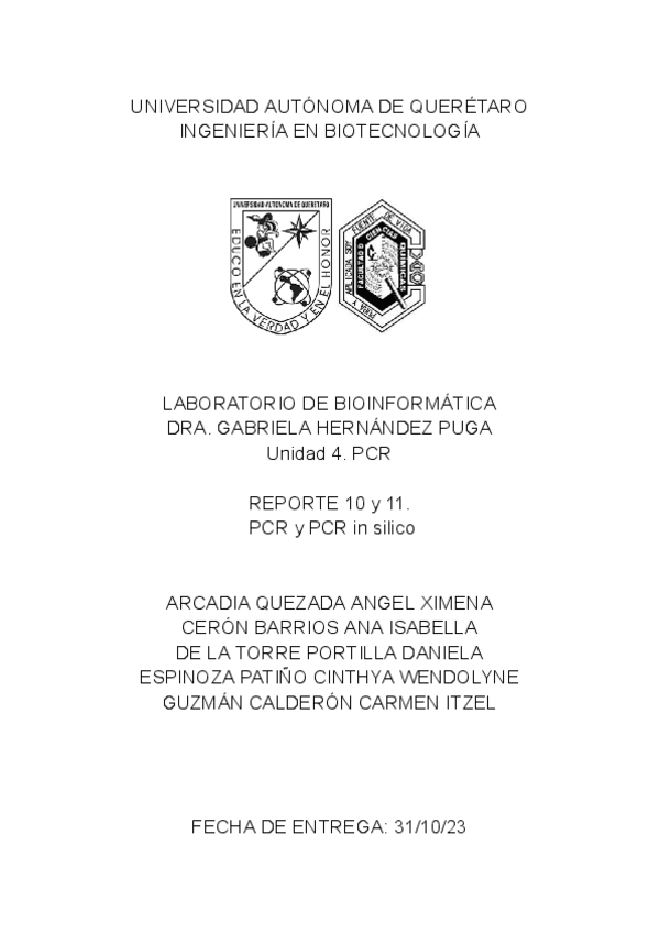 Miniatura del documento Reporte-10-y-11-Equipo-3.pdf