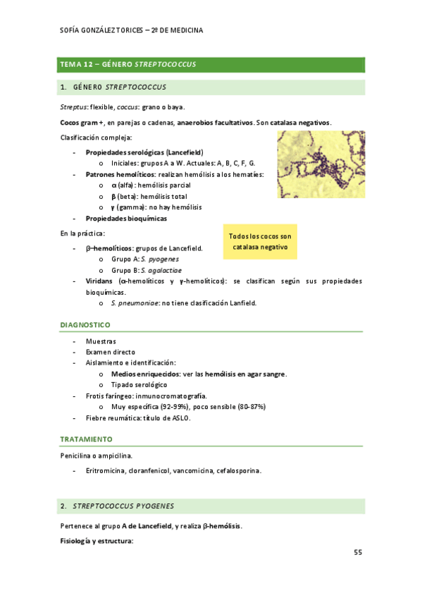 Miniatura del documento T12micro.pdf