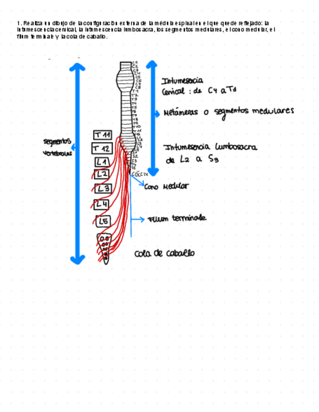 Miniatura del documento Practica-3.pdf