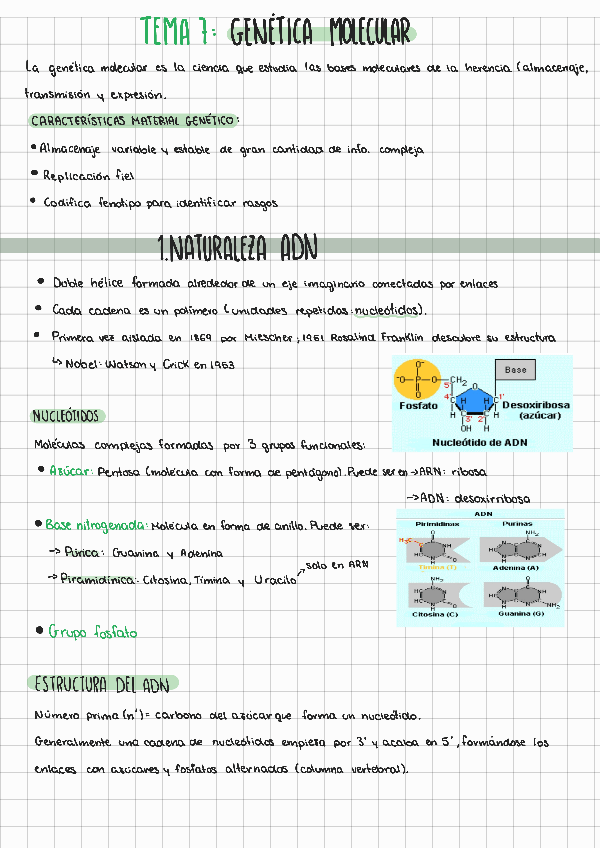 Miniatura del documento Tema-7-fundamentos-de-la-psicobiologia.pdf