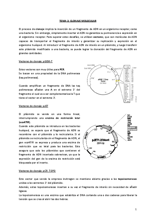 Miniatura del documento TEMA-2-CLONAJE-MOLECULAR.pdf