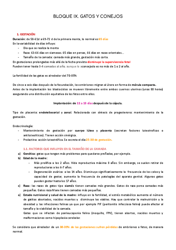 Miniatura del documento BLOQUE-GATOS-Y-CONEJOS-T39-44.pdf