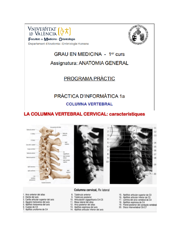 Miniatura del documento PDF-radiologia-todo-junto.pdf