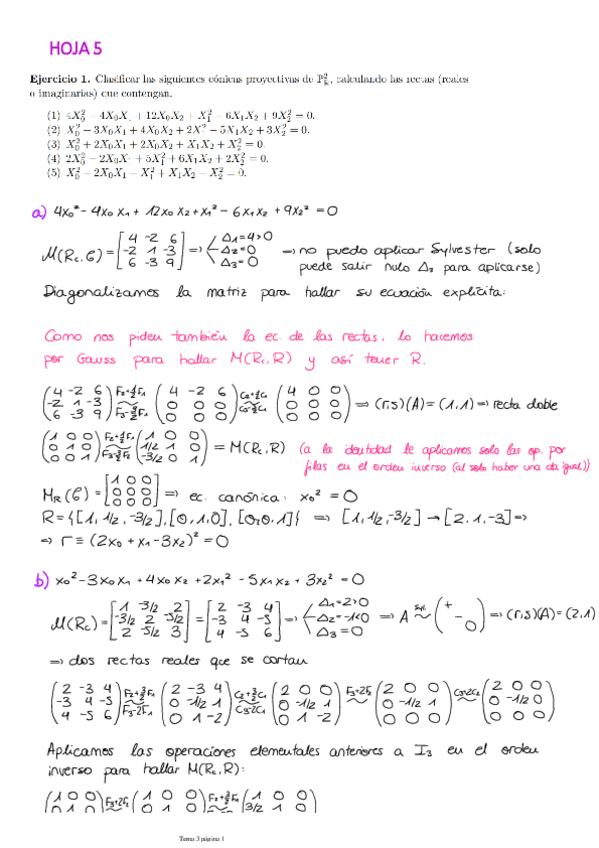 Miniatura del documento HOJA-5.pdf