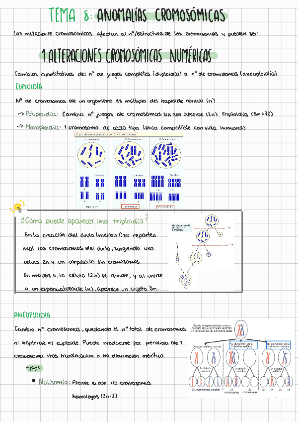 Miniatura del documento tema-8-fundamentos-de-la-psicobiologia.pdf