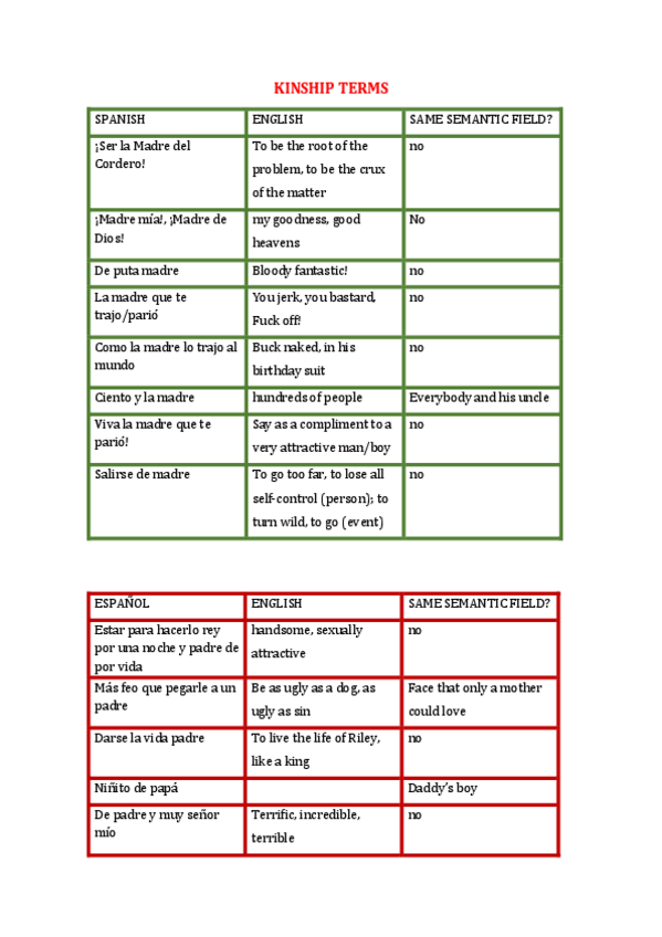 Miniatura del documento KINSHIP-TERMSSOLUCIONES-2.6.pdf