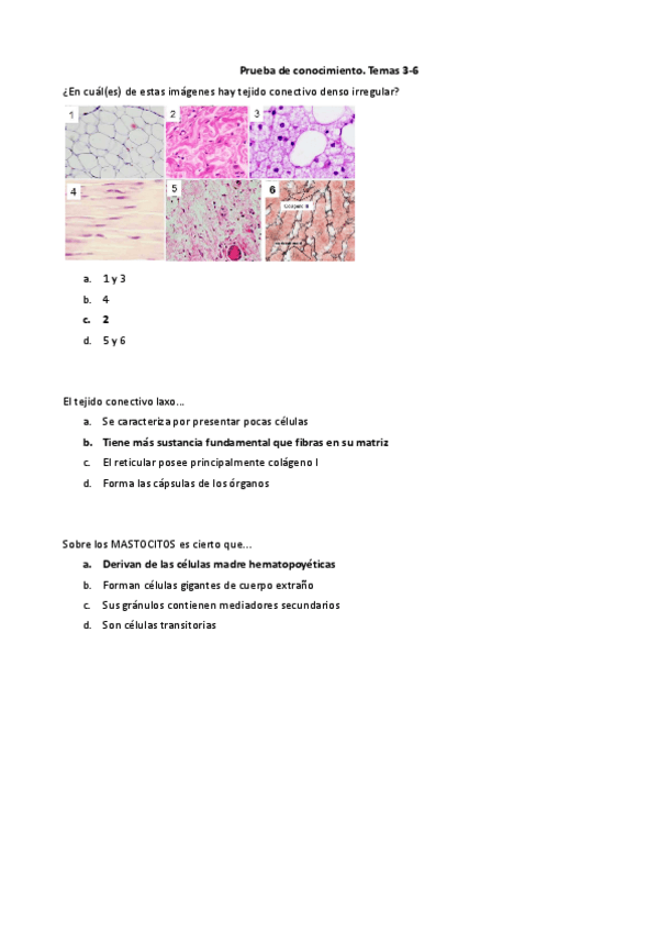 Miniatura del documento Cuestionario-T03-06.pdf