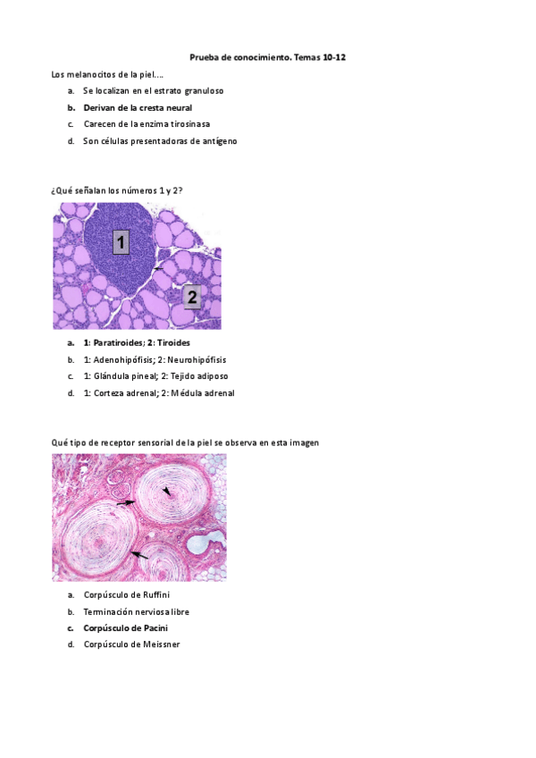 Miniatura del documento Cuestionario-T10-12.pdf