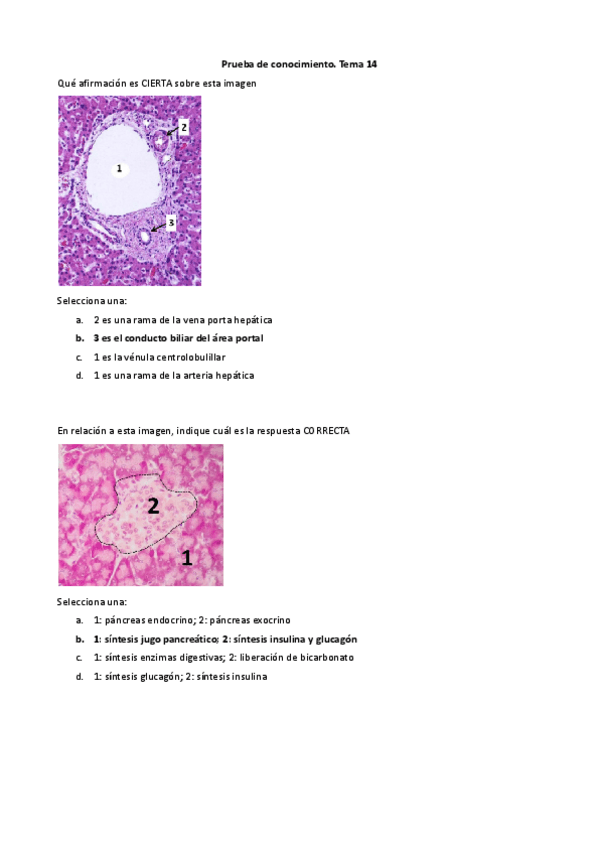 Miniatura del documento Cuestionario-T14.pdf