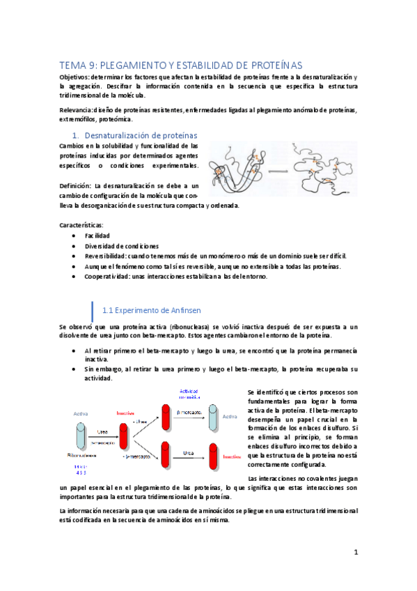 Miniatura del documento TEMA-9-EMM.pdf