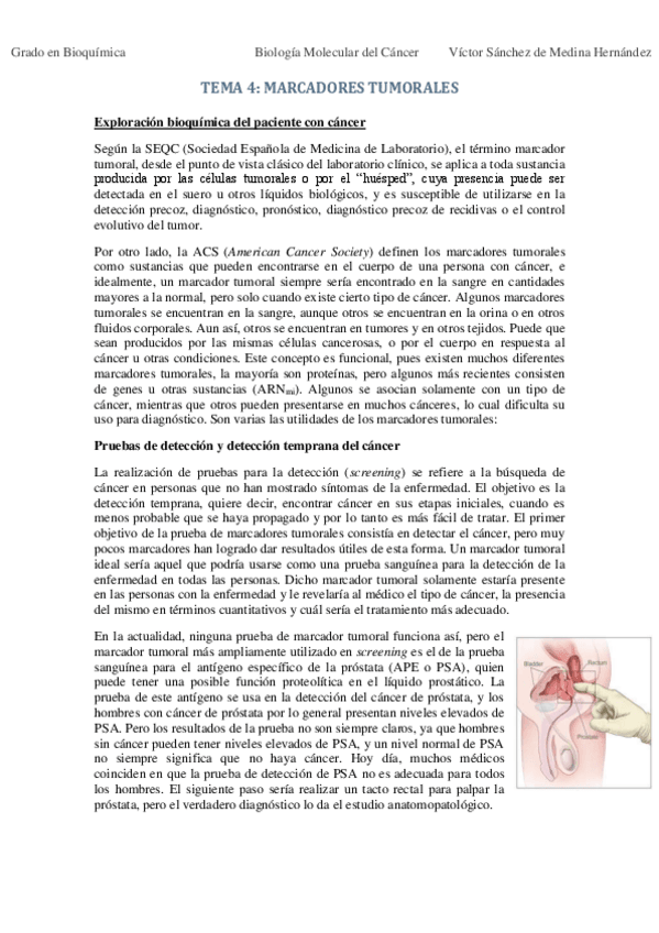 Miniatura del documento Tema 4. Marcadores tumorales VSM.pdf