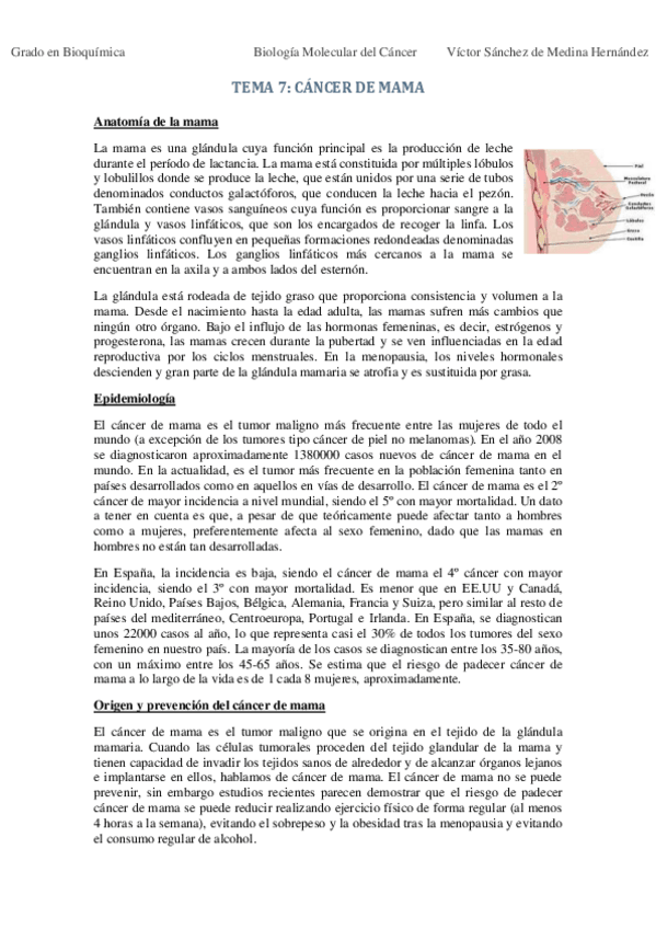 Miniatura del documento Tema 7. Cáncer de mama VSM.pdf