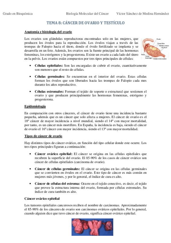 Miniatura del documento Tema 8. Cáncer de ovario y testículo VSM.pdf