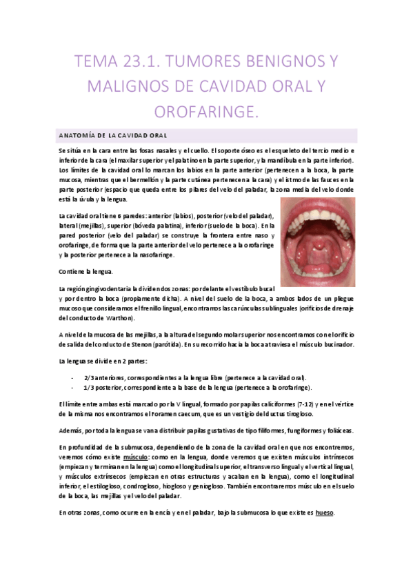 Miniatura del documento 23.-TUMORES-CAVIDAD-OROFARINGE.pdf