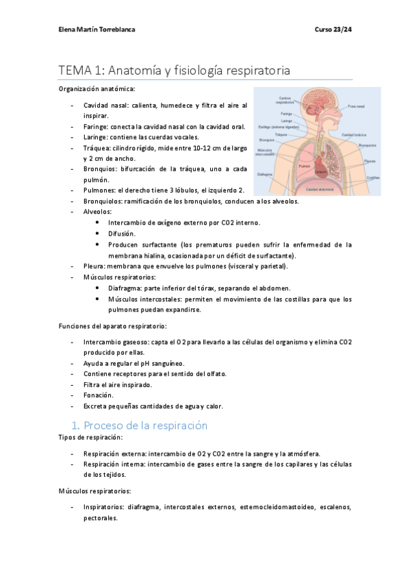 Miniatura del documento BLOQUE-RESPIRATORIO-ADULTO-I.pdf