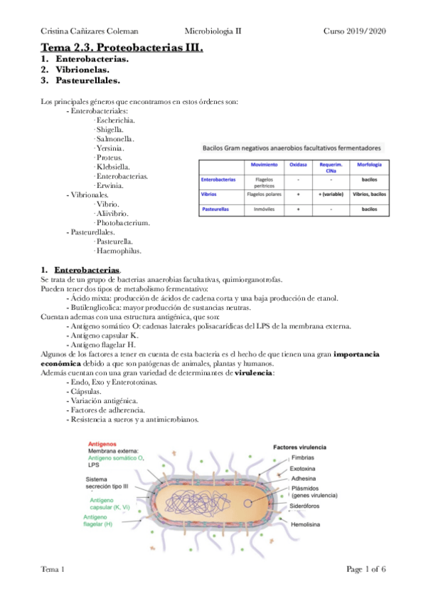 Miniatura del documento Tema-2.3.-Microbiologia.-3.pdf