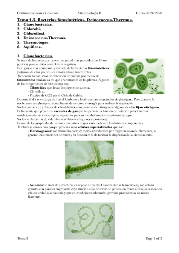Miniatura del documento Tema-4.-Microbiologia-3.pdf