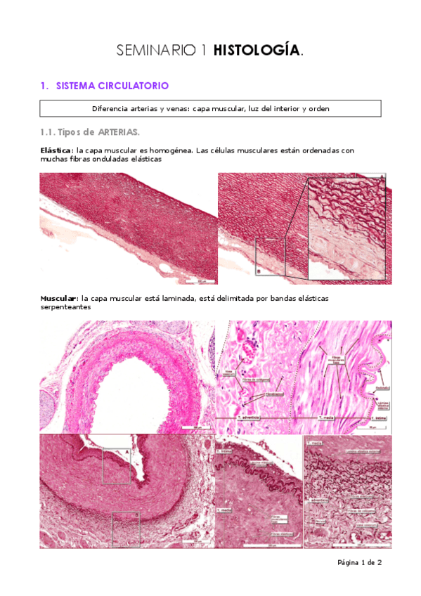 Miniatura del documento Seminario-1..pdf