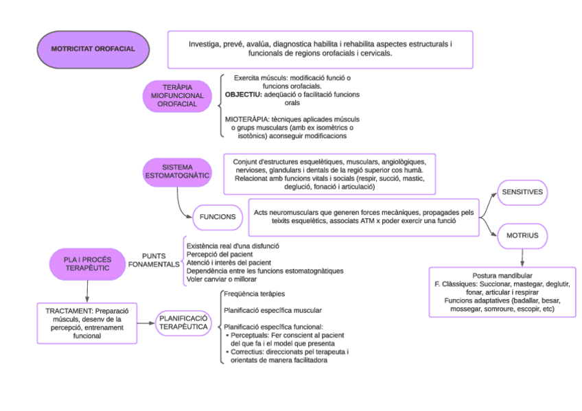 Miniatura del documento 1-Intro-terapia-miofuncional.pdf