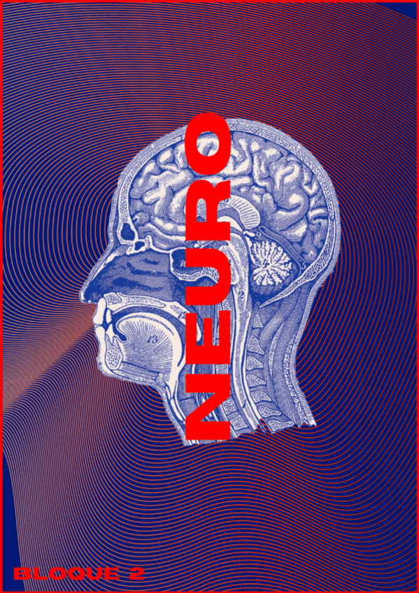 Miniatura del documento Neuro-Bases-Explicado.pdf