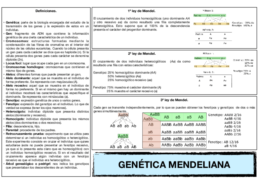 Miniatura del documento 13.-Genetica-mendeliana.-1.pdf