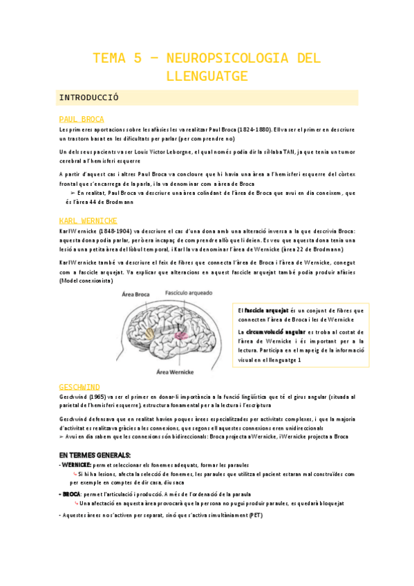Miniatura del documento TEMA-5-Neuropsicologia-del-llenguatge.pdf