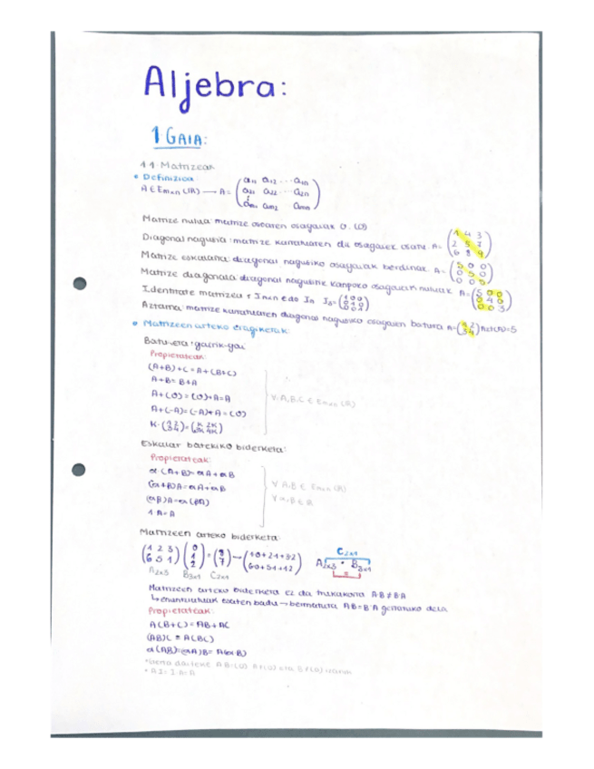 Miniatura del documento LABURPENAK-GAIKA.pdf