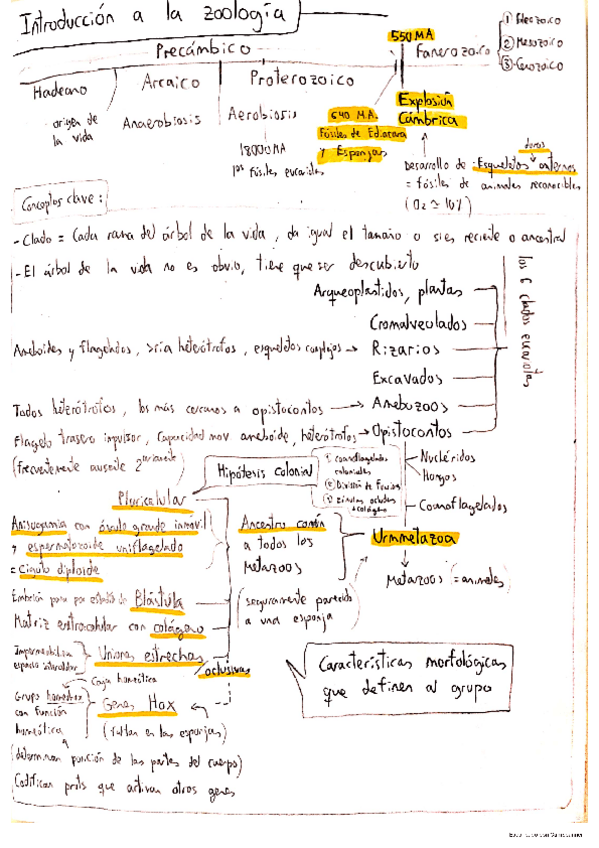 Miniatura del documento zoologia-hasta-mitad-del-t5.pdf