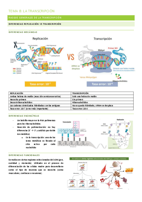 Miniatura del documento TEMA-8-LA-TRANSCRIPCION.pdf