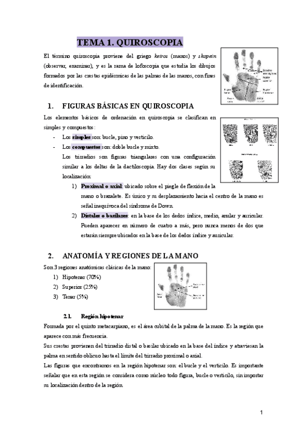 Miniatura del documento Quiroscopia.pdf