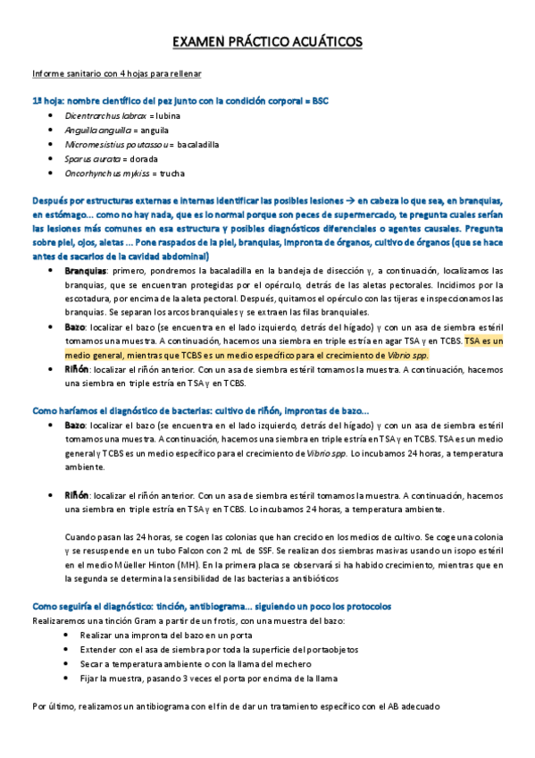 Miniatura del documento Preguntas-examen-practico.pdf