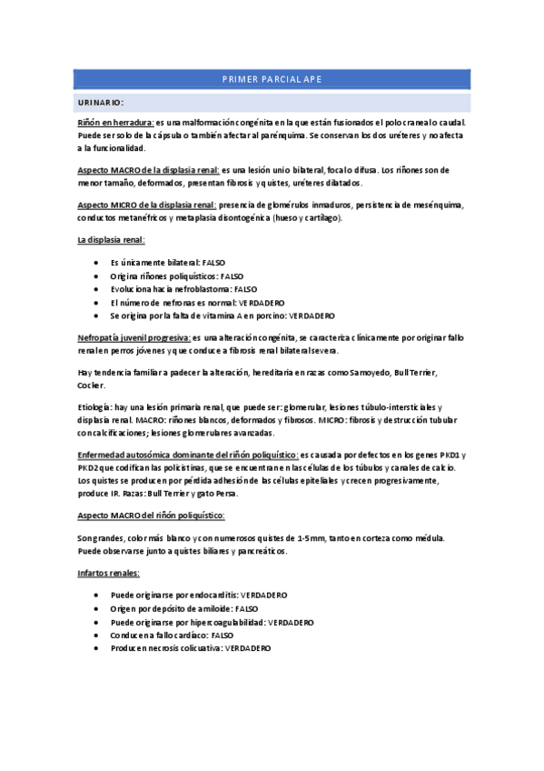 Miniatura del documento preguntas-resueltas-1-parcial.pdf