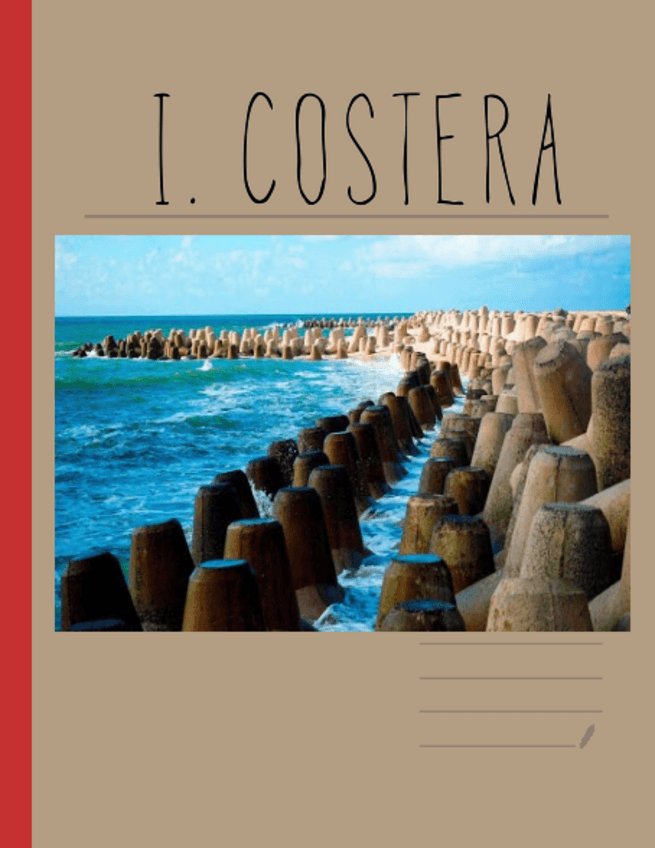 Miniatura del documento APUNTES-INGENIERIA-COSTERA.pdf