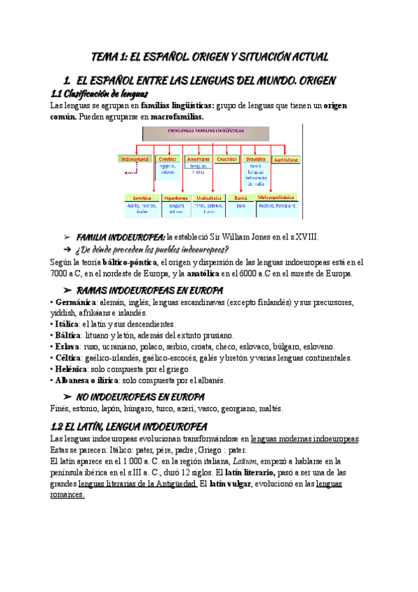 Miniatura del documento Tema-1-espanol-norma-y-uso.pdf