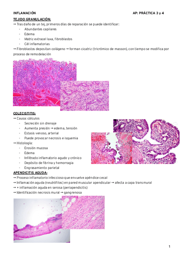 Miniatura del documento AP-Practica-3-y-4.pdf